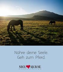 Nahre Deine Seele Geh Zum Pferd Pferde Zitate Pferdespruche Pferdeliebe