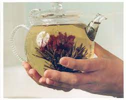 Thought flowering tea would not only look good but taste good, wrong on both accounts. I Ve Been Meaning To Get This Tea Every Time I Come To San Fran Flower Tea Blooming Tea Blooming Flower Tea