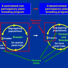 Pdf Participatory Breeding Of Threatened Mideast Landraces As A Strategy For Genetic Conservation And Regional Cooperation