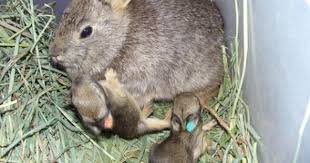 Pin On Raindrops On Roses