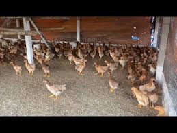 WPT Legends of Poker