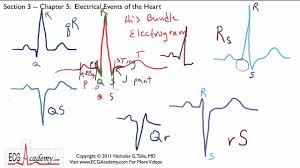 Electrical Events Of The Heart 3 5 Ecg Ekg Interpretation Basic Youtube