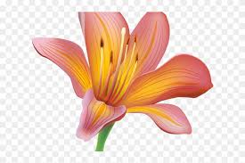 We did not find results for: Free Easter Lily Clipart Flor De Lirio Png Transparent Png 3095004 Pikpng