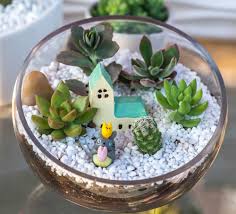 Add this miniature desert garden to your houseplant collection. Miniature Gardening Miniature Garden Plants Tray Gardening