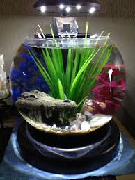 Betta Fish Bowl With Waterfall Filter And Heater Betta Fishbowl Betta Fish Bowl Aquarium Design Betta Fish Tank