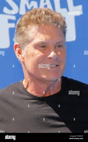 David hasselhoff -Fotos und -Bildmaterial in hoher Auflösung