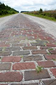 We did not find results for: Desolation Florida Follow The Old Worn Brick Road