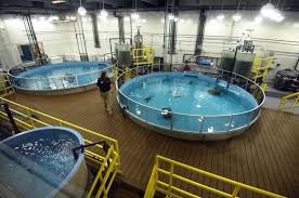 Check spelling or type a new query. Aquarium Prepares To Open Animal Care Rescue Center Pet Care Rescue Aquarium