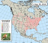 Ruby Throated Hummingbird Migration Comparative Maps