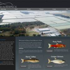 BEST of {Lonoke} {Bait Shops}