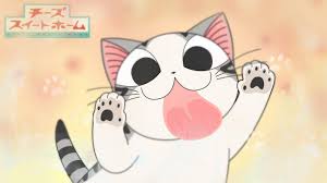 The characters were drawn as humans but with fox ears and fox tails. 17 Cats Characters In Japanese Anime Cats In Japan