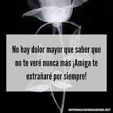 Pero nunca olvidaré que estás en los brazos de dios. Dedicatorias Y Frases Para Una Amiga Fallecida Informacion Imagenes