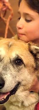 Christi Center 2022 Annual Report