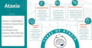 Image result for Ataxia