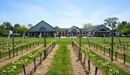Cotton Club Signature Cocktail Brunch in the Hamptons