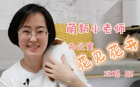 萌新小老师，办公室花见花开攻略——02 四个注意事项-哔哩哔哩
