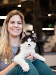 Entry with your go miami pass includes general admission to the attraction and shows see exotic birds, big cats, and more animal lovers won't want. 11 Cat Cafes You Have To Visit Travel Channel