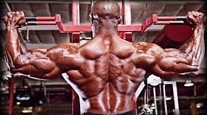 In this section, learn more about the muscles of the. Inside The Muscles Best Back And Biceps Exercises T Nation