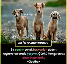 anlamli sozler komik komik hikayeler komik seyler