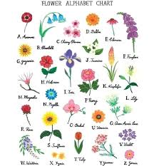 Different Types Of Flowers And Their Names Referlocal Co