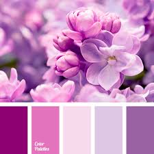 Purple refers to any of a variety of colors with hue between red and blue. Shades Of Saturated Purple Color Color Palette Ideas