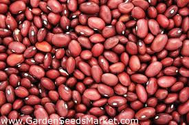 Contextual translation of kidney beans into malay. Dwarf Kidney Bean Seeds Phaseolus Vulgaris Garden Seeds Market Free Shipping