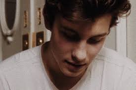 shawn mendes oneshot
