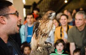 All-natural affair: Slopers celebrate planet with critters, street cleanup  • Brooklyn Paper