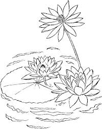 Learn about famous firsts in october with these free october printables. Lily Pad Printable Coloring Pages Enjoy Coloring Kids Art Lilies Drawing Coloring Pages Water Lily Drawing