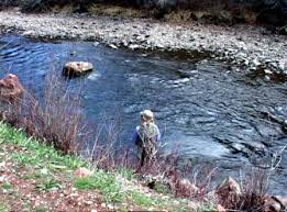 Fly Fishing Gear For The Frying Pan River In Colorado