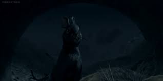 We did not find results for: The Black Rabbit Of Inle First Appearance By Hunger1234 On Deviantart