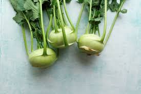 Kohlrabi Pflanzen Die Besten Tipps Brigitte De