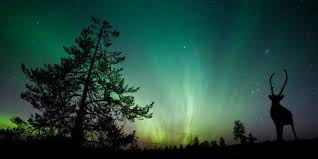 Ein paar links und tipps, welche die wahrscheinlichkeit erhöhen nordlichter erblicken zu können. Die 10 Besten Orte Um Polarlichter Zu Sehen Weltweit 2021