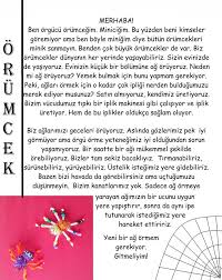 Bu Hayvanlar Bir Alem Orumcek Bilgilendirici Metinler Hayvanlar Faaliyetler