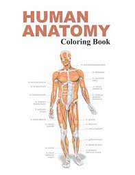 The human body coloring book: 97 Best Anatomy Books Of All Time Bookauthority