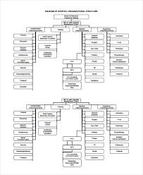 18 Chart Templates Free Premium Templates