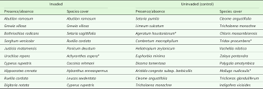 Image result for Kyphocarpa angustifolia
