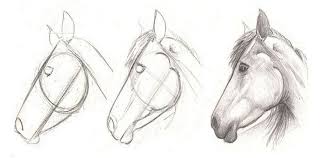 How To Draw A Horse Head In 3 Easy Step Learn To Draw And Paint Horse Drawings Horse Sketch Animal Drawings