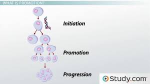 Instead of dying, abnormal cells continue to grow and divide, piling up in the form of tumors. What Causes Cancer Video Lesson Transcript Study Com