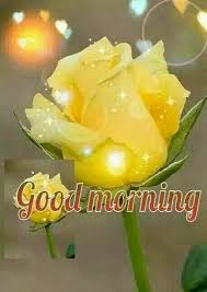 Cute good morning love letters for him. Good Morning My Love With Rose