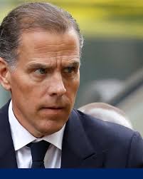 What the key witnesses in Hunter Biden's trial, including Hallie Biden,  testified