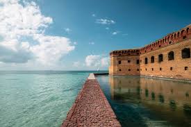 I visited this national park where we used roofless boats to sail through its banks with its amazing bird & wildlife especially when i see some of them like the great blue heron, white egret. Dry Tortugas National Park American Field Trip
