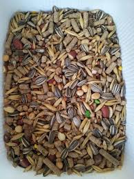 Racao A Alimentacao Mais Segura Alimentacao Racao Hamster