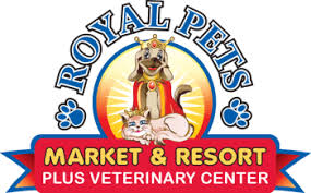 Loews royal pacific resort, orlando. What To Do With Your Pet While On Vacation Royal Pets Market Resort