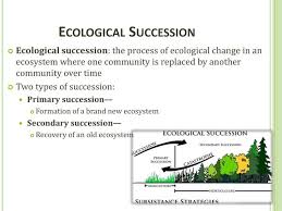 Pin By George Andersen On Ecological Succession Primary Secondary Ecological Succession Secondary Succession Primary Succession