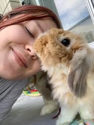 An appropriate photo to mark The Dog's departure.