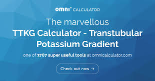 Image result for Transtubular Potassium Gradient