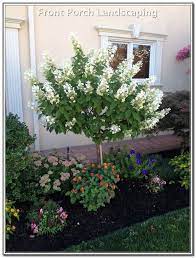 Improvised Your Landscaping With These Ideas Landscaping Lovers Trees For Front Yard Front Yard Landscaping Design Front Yard Flowers