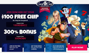 Check spelling or type a new query. Cool Cat Casino Bonus Codes 100 No Deposit Bonus Jul 2021
