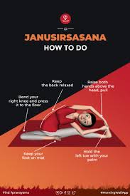 Janusirsasana Head To Knee Pose Steps Benefits In 2020 Learn Yoga Easy Yoga Workouts Learn Yoga Poses